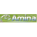 Amina